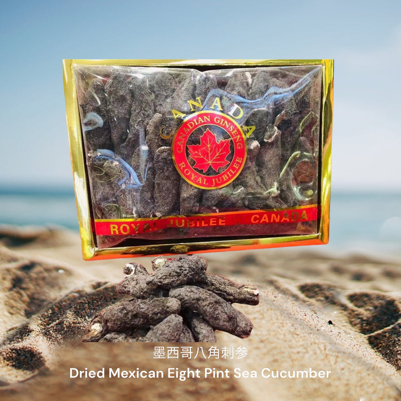 墨西哥八角刺参 / Dried Mexican Eight Pint Sea Cucumber