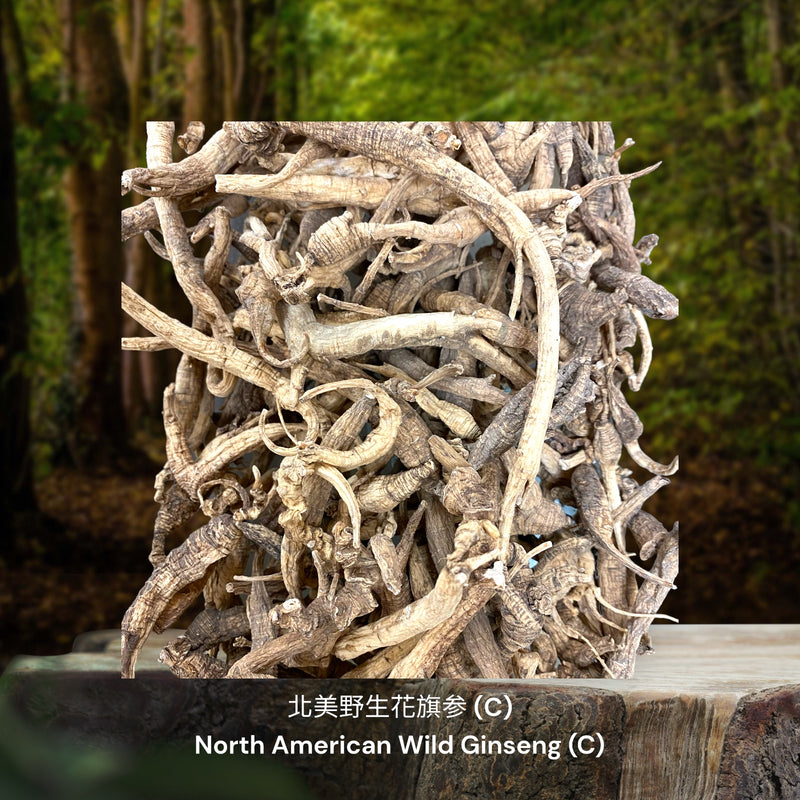 北美野生花旗参 / North American Wild Ginseng