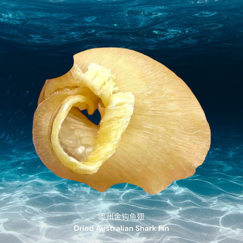 奥州金钩鱼翅/ Dried Australian Shark Fin