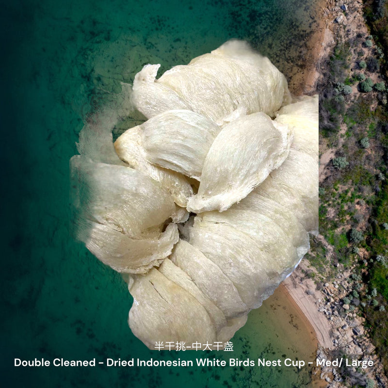 印尼白燕窝半干挑-中大盏/ Dried Indonesian White Birds Nest Double Clean - Med/ Large Cups
