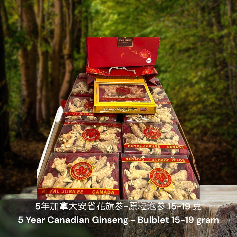 5年加拿大安省花旗参-原粒泡参/ 5 Year Canadian Ginseng - Bulblet