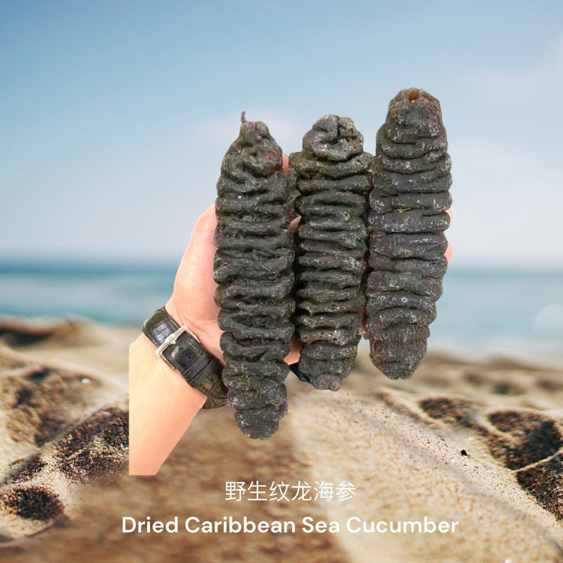 野生纹龙海参/  Dried Caribbean Sea Cucumber