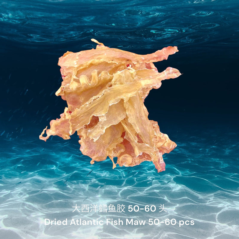 大西洋鳕鱼胶/ Dried Atlantic Cod Fish Maw