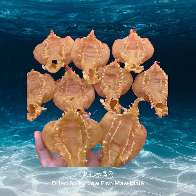 刺花赤嘴花胶公 / Dried Spiky Jew Fish Maw Male