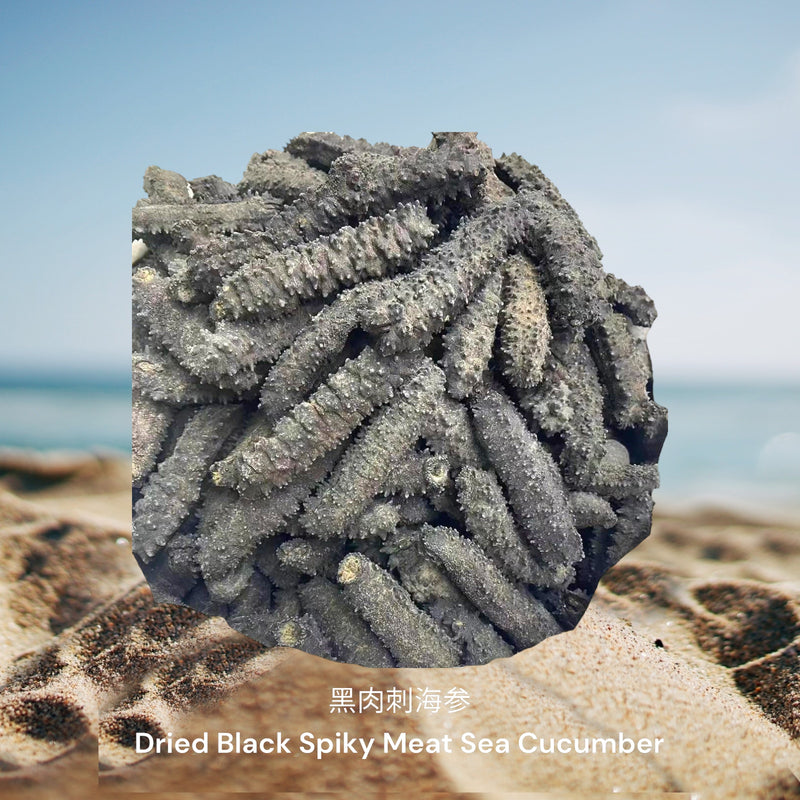 黑肉刺海参/ Dried Black Spiky Meat Sea Cucumber