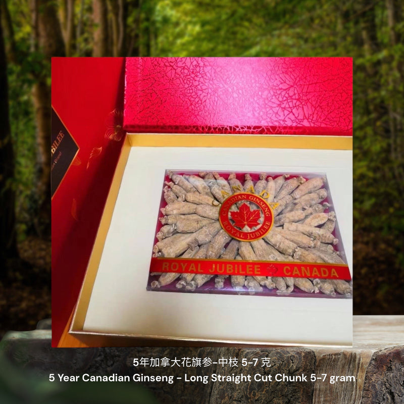 5年加拿大花旗参-长中枝 / 5 Year Canadian Ginseng - Long Straight Cut Chunk