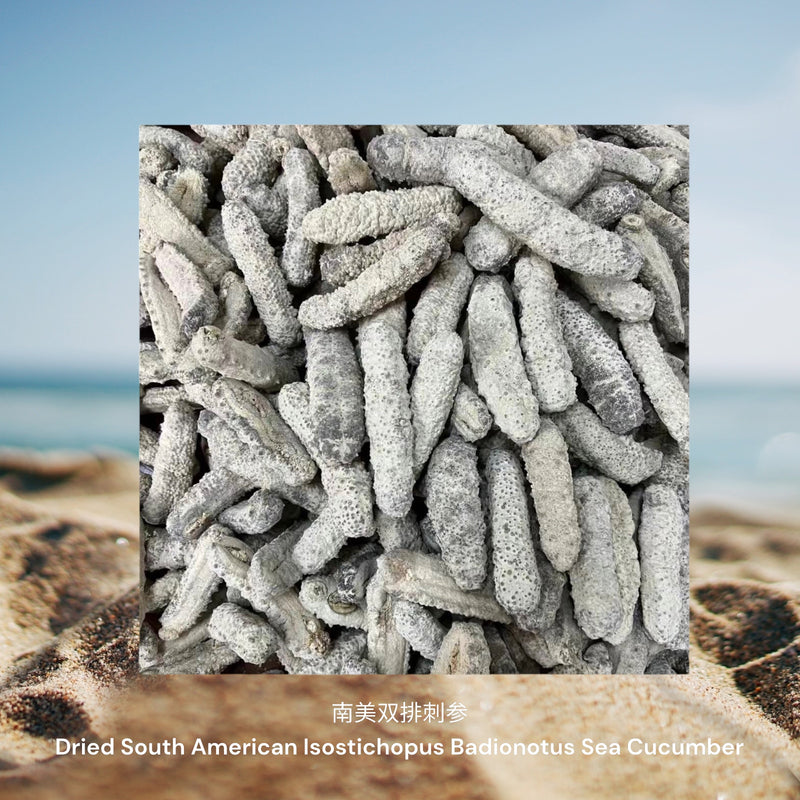 南美双排刺参/ Dried South American Isostichopus Badionotus Sea Cucumber