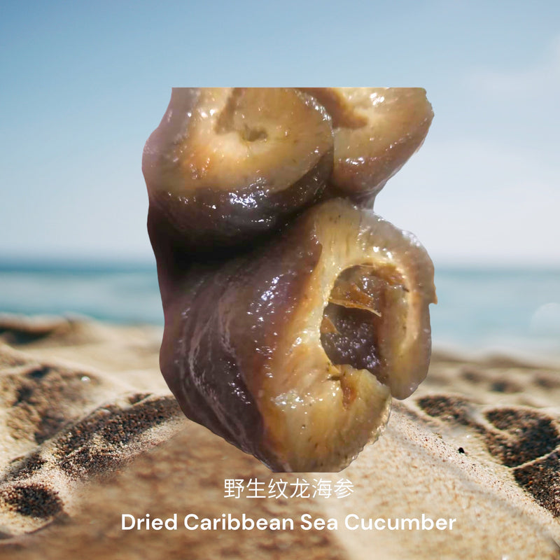 野生纹龙海参/  Dried Caribbean Sea Cucumber
