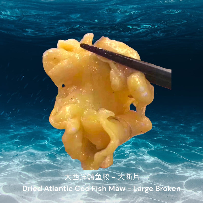 大西洋鳕鱼胶/ Dried Atlantic Cod Fish Maw