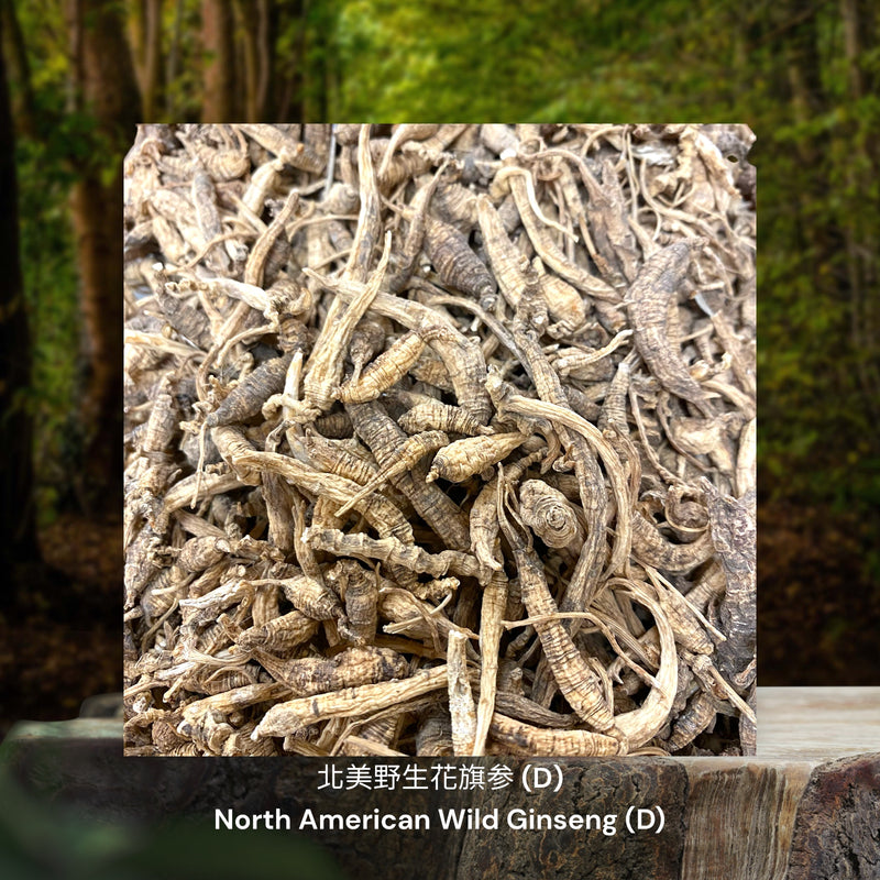 北美野生花旗参 / North American Wild Ginseng