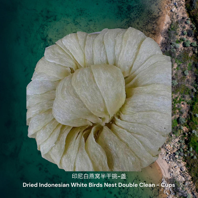 印尼白燕窝半干挑-盏/ Dried Indonesian White Birds Nest Double Cleaned - Cups