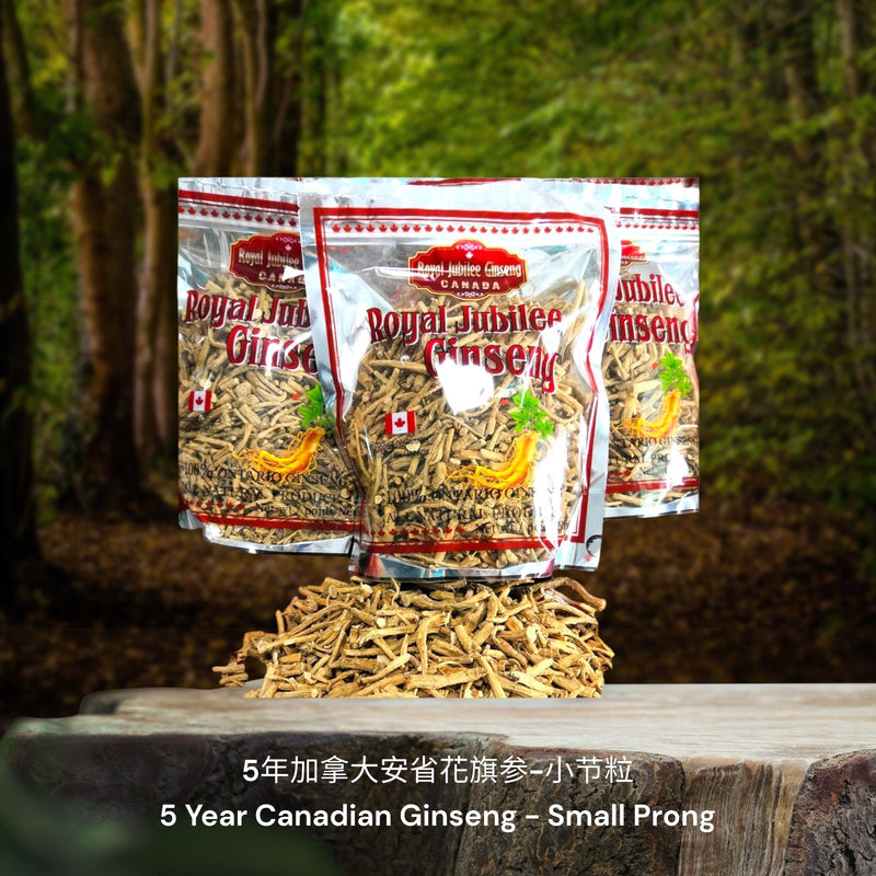 5年加拿大安省花旗参-节粒 / 5 Year Canadian Ginseng - Prong