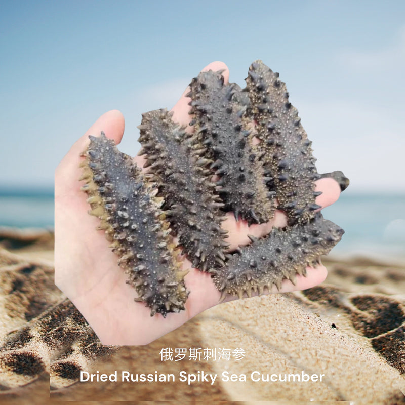 俄罗斯刺海参/ Dried Russian Spiky Sea Cucumber