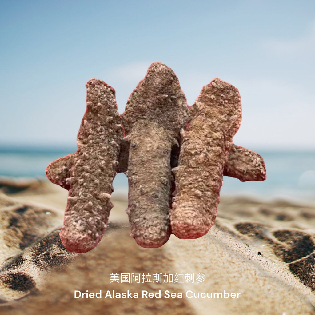 美国阿拉斯加红刺参 / Dried Alaska Red Sea Cucumber