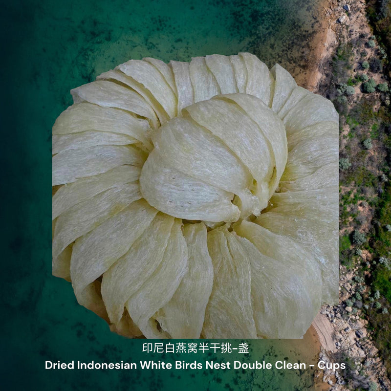 印尼白燕窝半干挑-盏/ Dried Indonesian White Birds Nest Double Cleaned - Cups