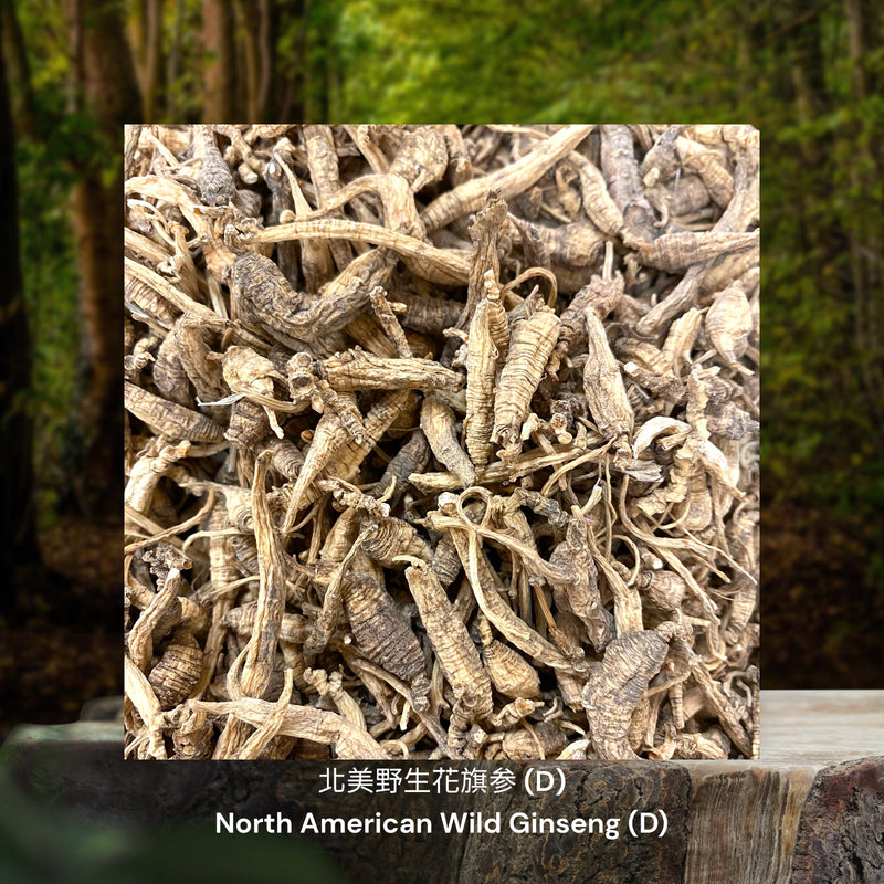 北美野生花旗参 / North American Wild Ginseng