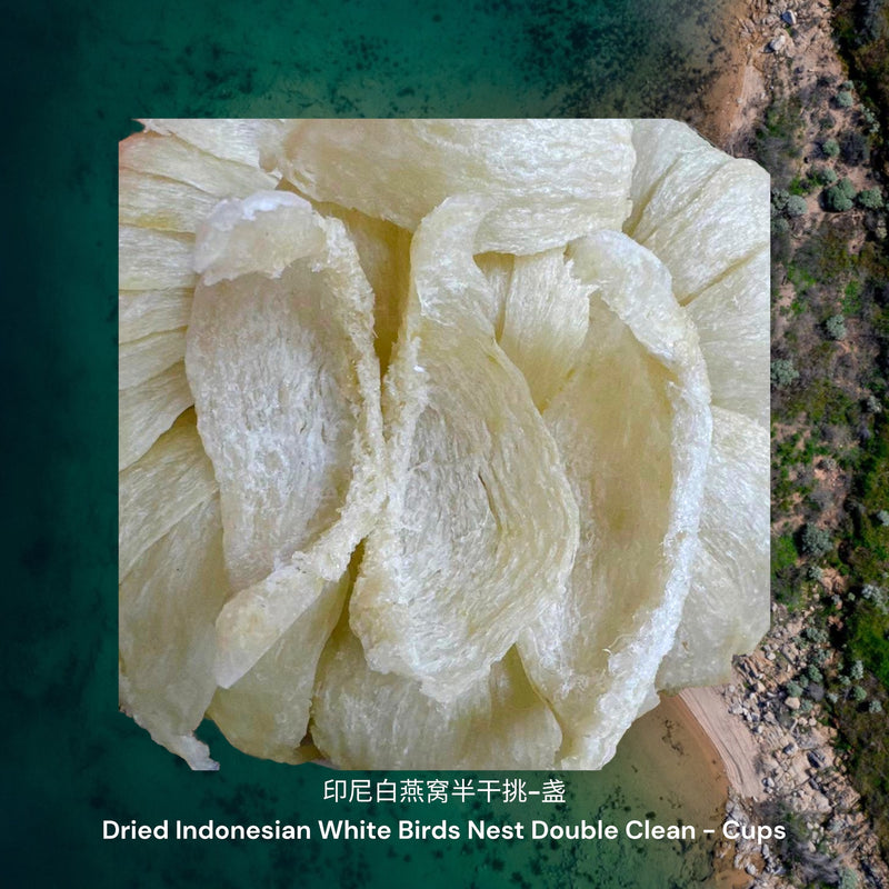 印尼白燕窝半干挑-盏/ Dried Indonesian White Birds Nest Double Cleaned - Cups
