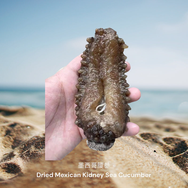 墨西哥腰参 / Dried Mexican Kidney Sea Cucumber