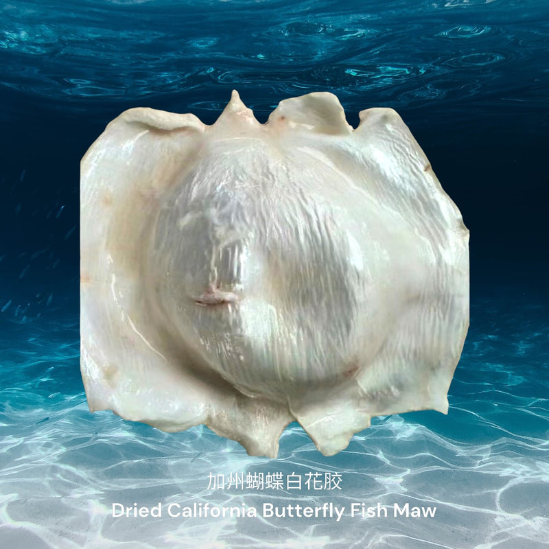 加州蝴蝶白花胶/ Dried California Butterfly Fish Maw