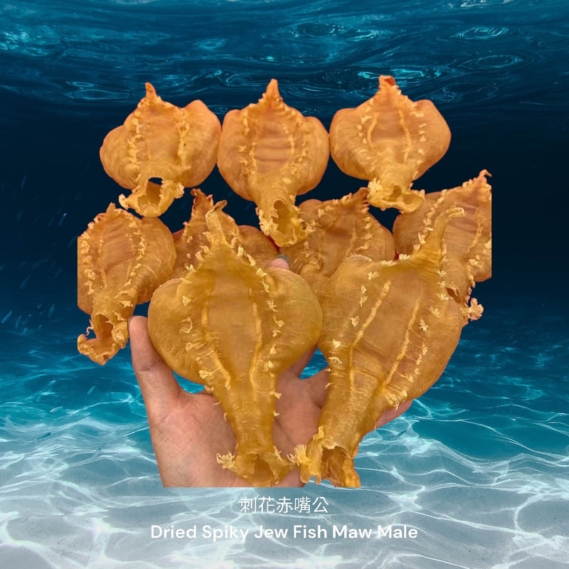 刺花赤嘴花胶公 / Dried Spiky Jew Fish Maw Male
