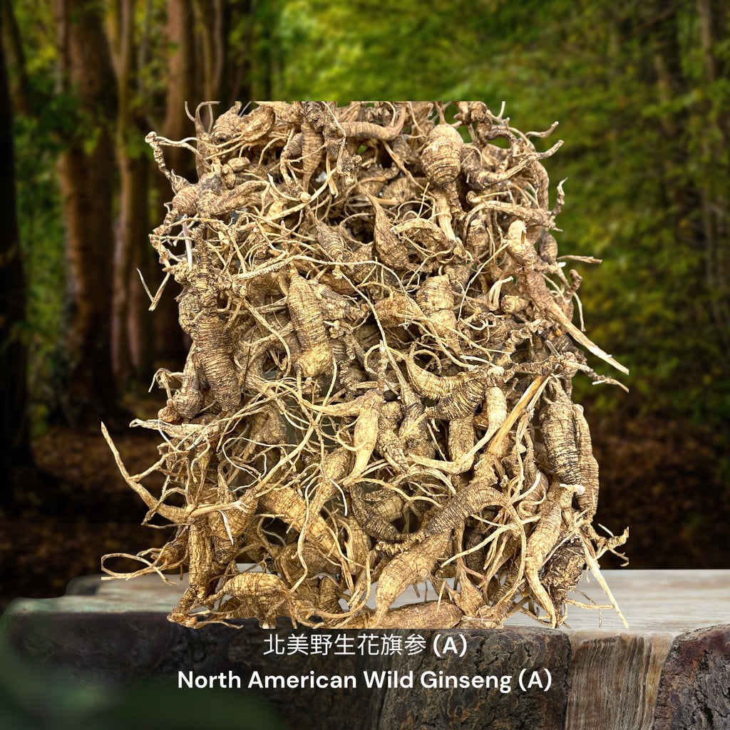 北美野生花旗参 / North American Wild Ginseng