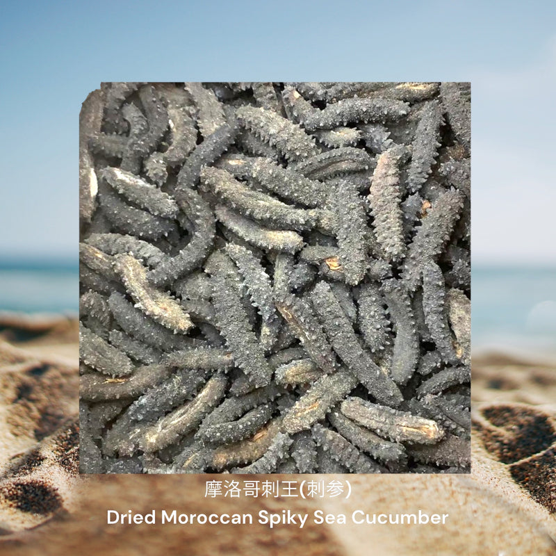 摩洛哥刺王(刺参) / Dried Moroccan Spiky Sea Cucumber