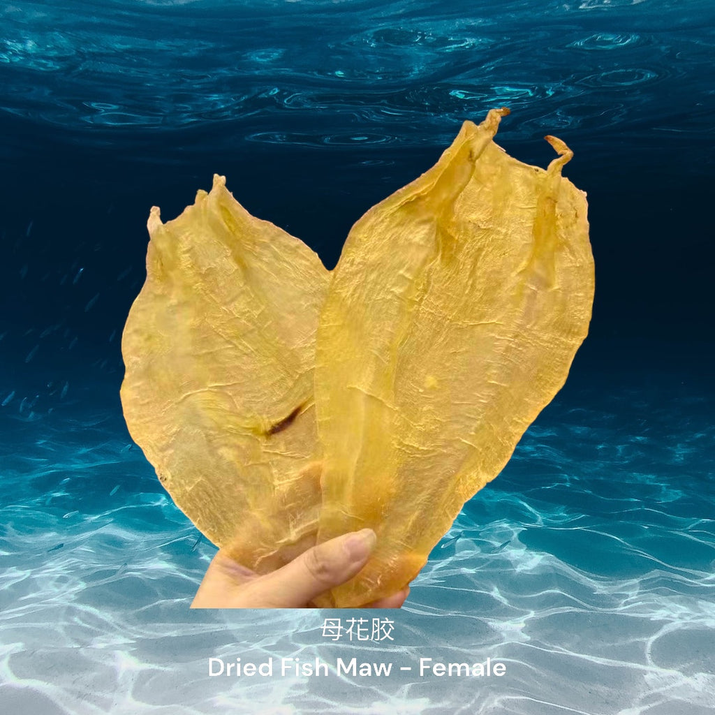 北海花胶母/ Dried Northern Sea Fish Maw - Female