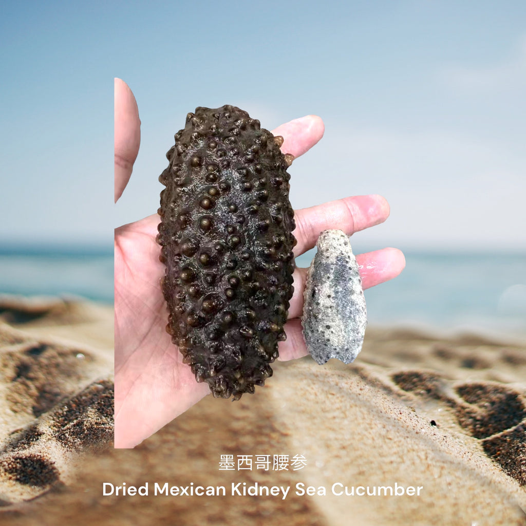 墨西哥腰参 / Dried Mexican Kidney Sea Cucumber