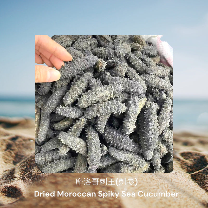 摩洛哥刺王(刺参) / Dried Moroccan Spiky Sea Cucumber