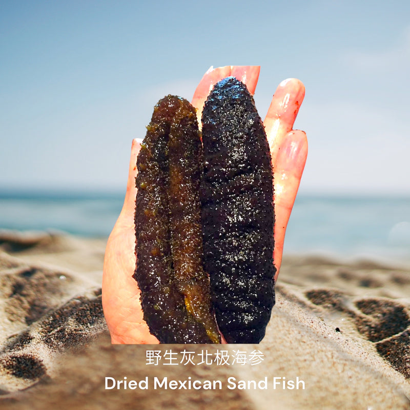 野生灰北极海参/  Dried Mexican Sand Fish