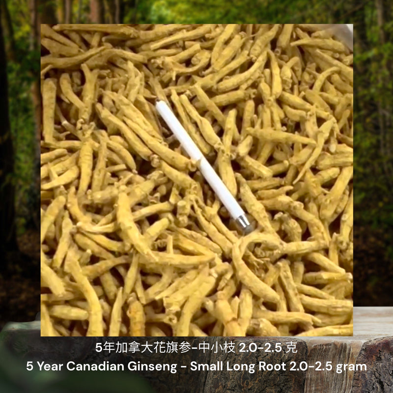 5年加拿大花旗参-中小枝/ 5 Year Canadian Ginseng - Small Long Root