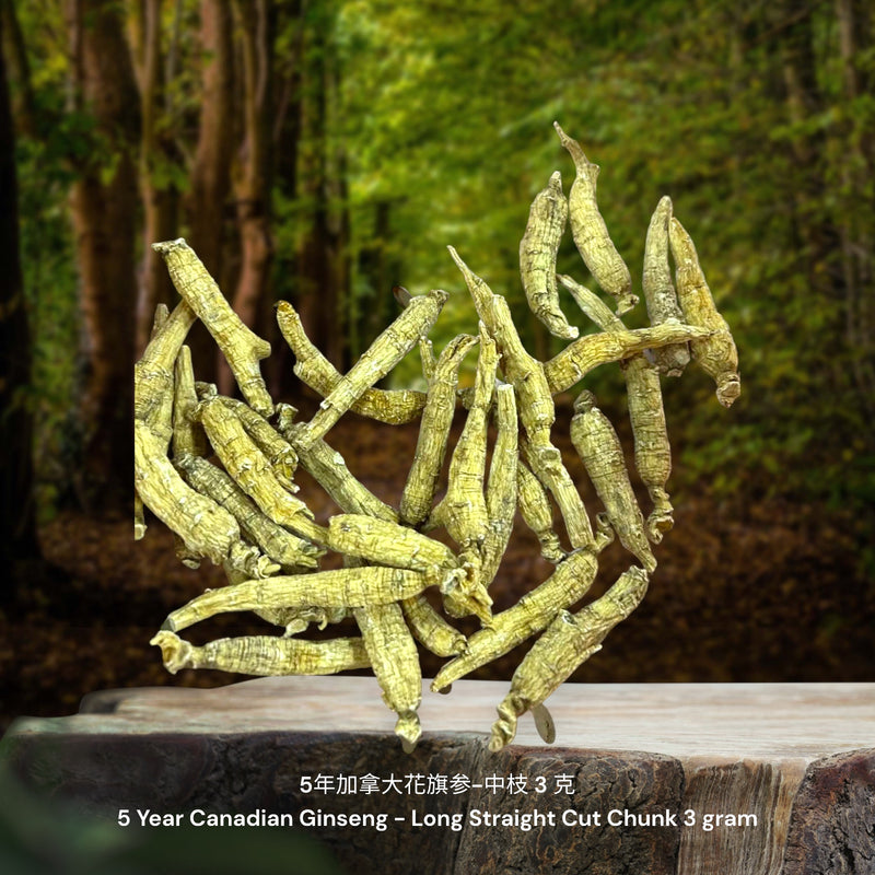 5年加拿大花旗参-长中枝 / 5 Year Canadian Ginseng - Long Straight Cut Chunk