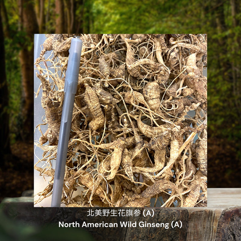 北美野生花旗参 / North American Wild Ginseng