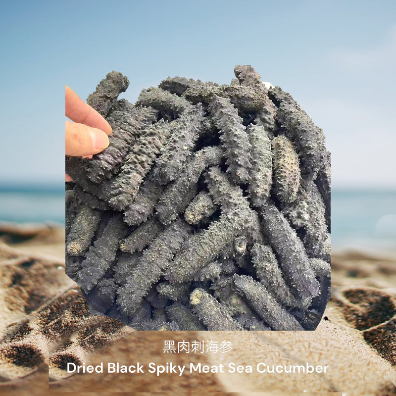 黑肉刺海参/ Dried Black Spiky Meat Sea Cucumber