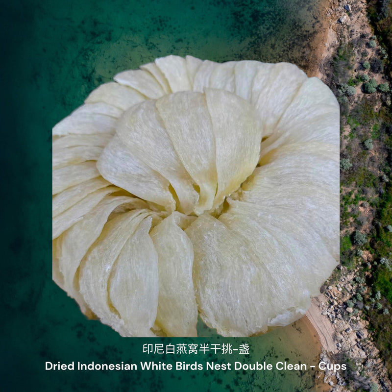 印尼白燕窝半干挑-盏/ Dried Indonesian White Birds Nest Double Cleaned - Cups
