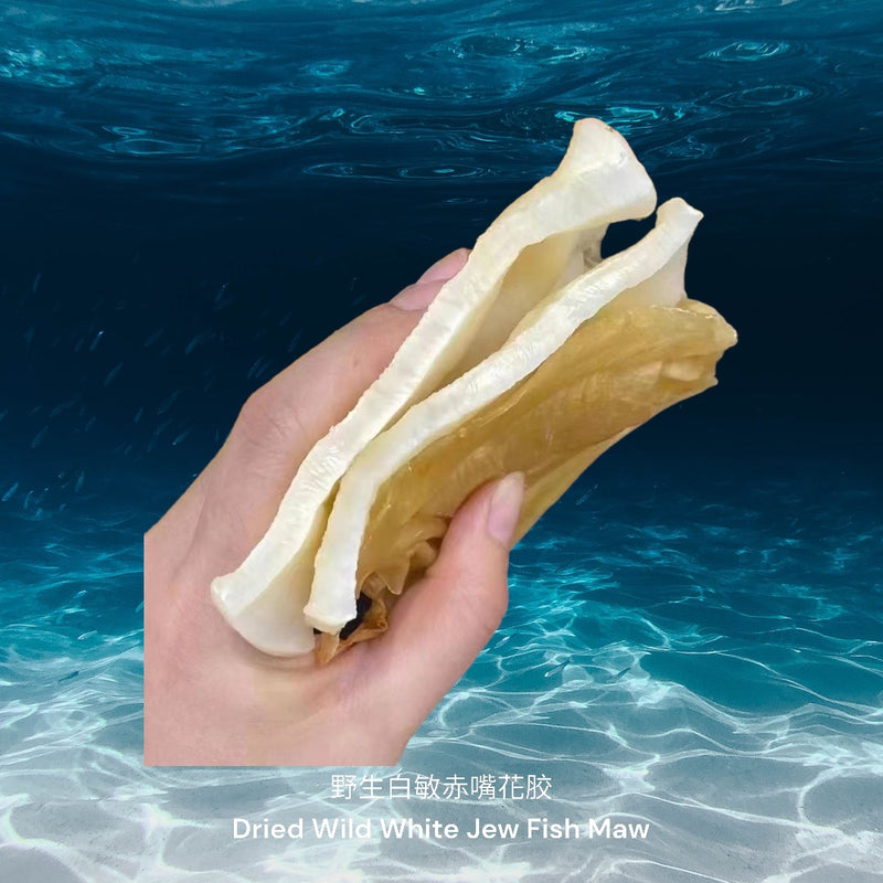野生白敏赤嘴花胶/ Dried Wild White Jew Fish Maw