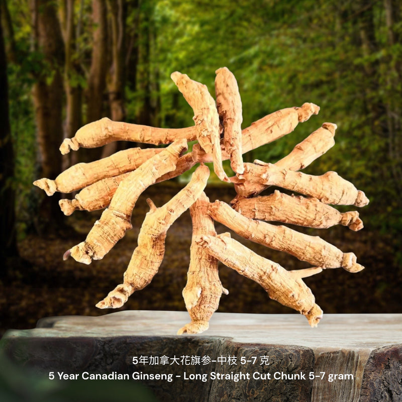 5年加拿大花旗参-长中枝 / 5 Year Canadian Ginseng - Long Straight Cut Chunk