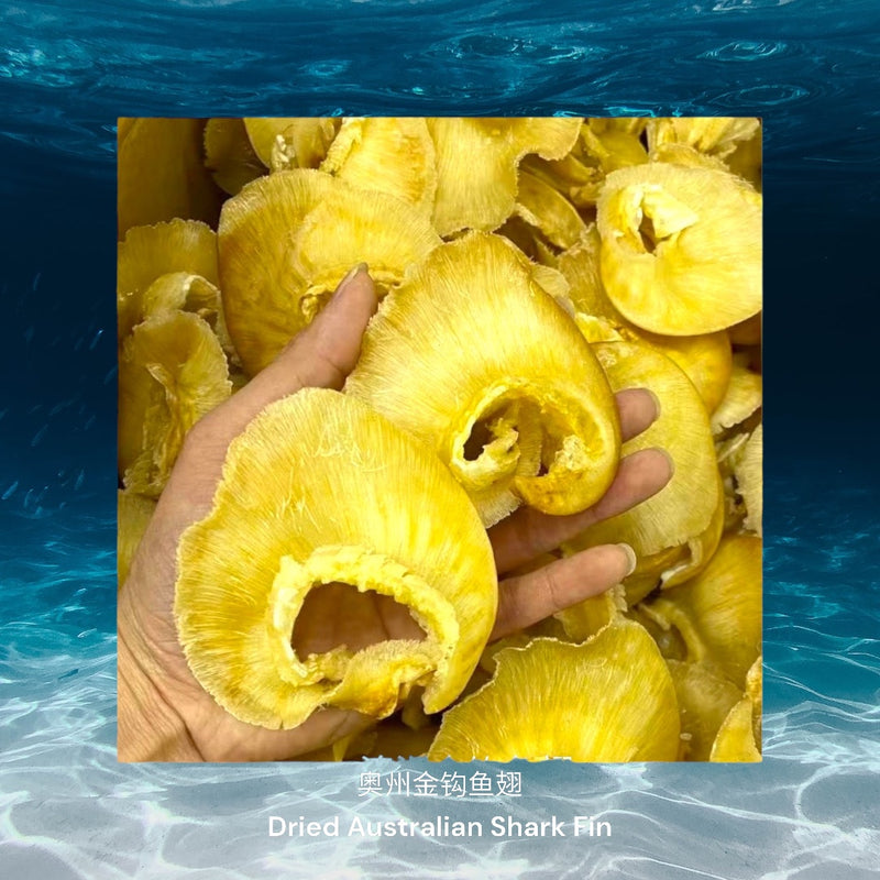 奥州金钩鱼翅/ Dried Australian Shark Fin