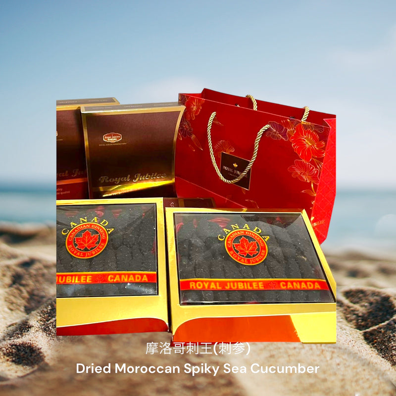 摩洛哥刺王(刺参) / Dried Moroccan Spiky Sea Cucumber