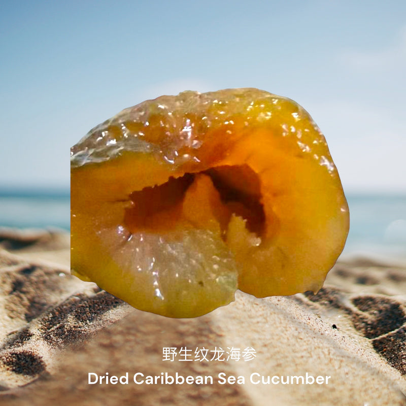 野生纹龙海参/  Dried Caribbean Sea Cucumber