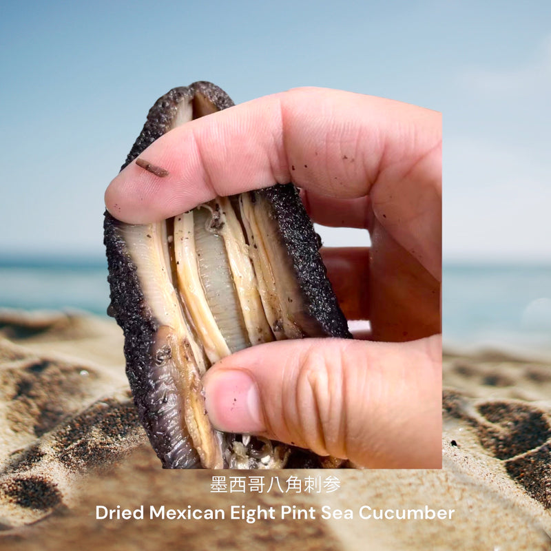 墨西哥八角刺参 / Dried Mexican Eight Pint Sea Cucumber