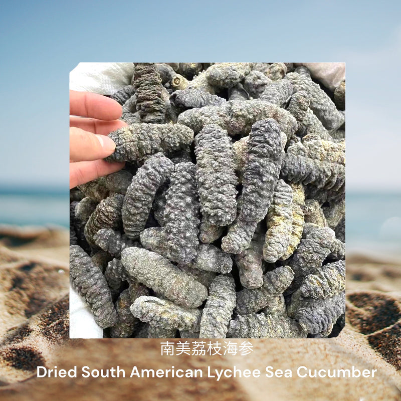 南美荔枝海参/ Dried South American Lychee Sea Cucumber
