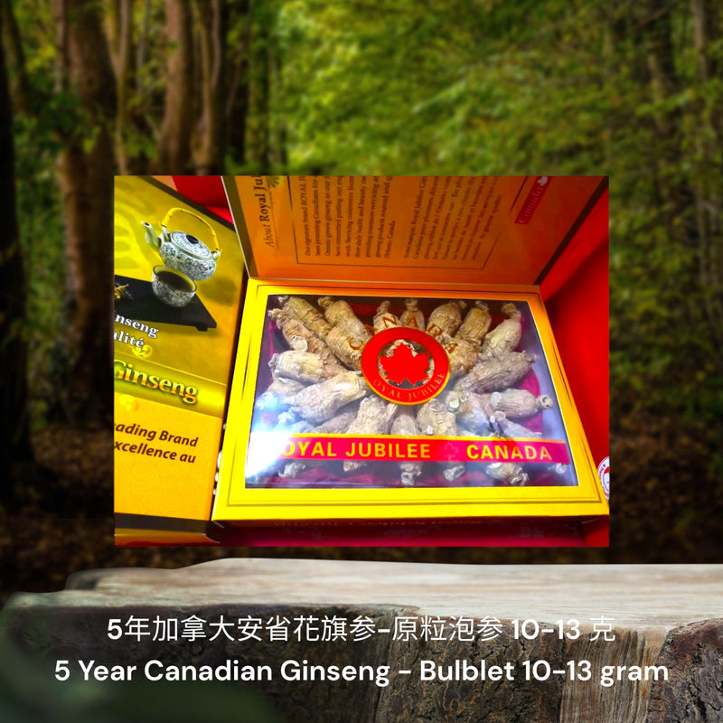 5年加拿大安省花旗参-原粒泡参/ 5 Year Canadian Ginseng - Bulblet