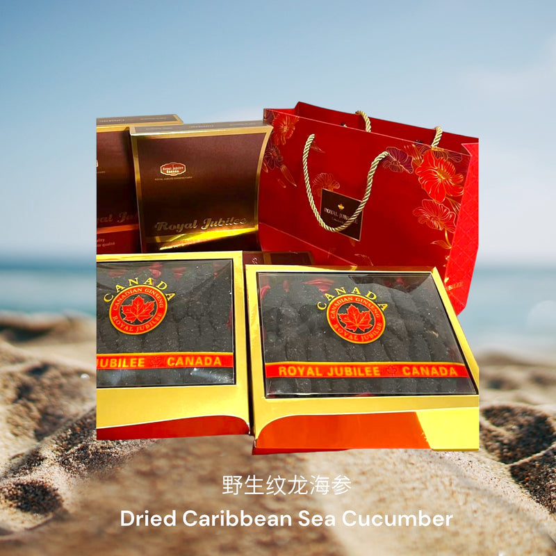 野生纹龙海参/  Dried Caribbean Sea Cucumber