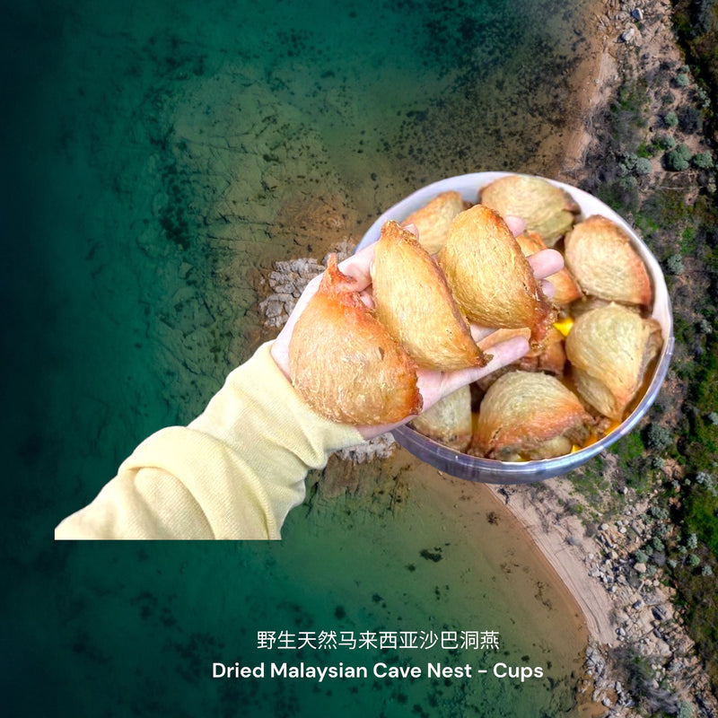 野生天然马来西亚沙巴洞燕-盏 / Dried Wild All-Natural Malaysian Sabah Cave Nest - Cups