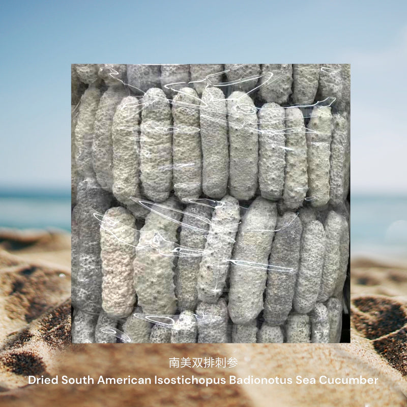 南美双排刺参/ Dried South American Isostichopus Badionotus Sea Cucumber
