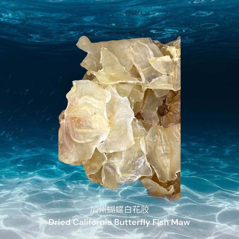 加州蝴蝶白花胶/ Dried California Butterfly Fish Maw