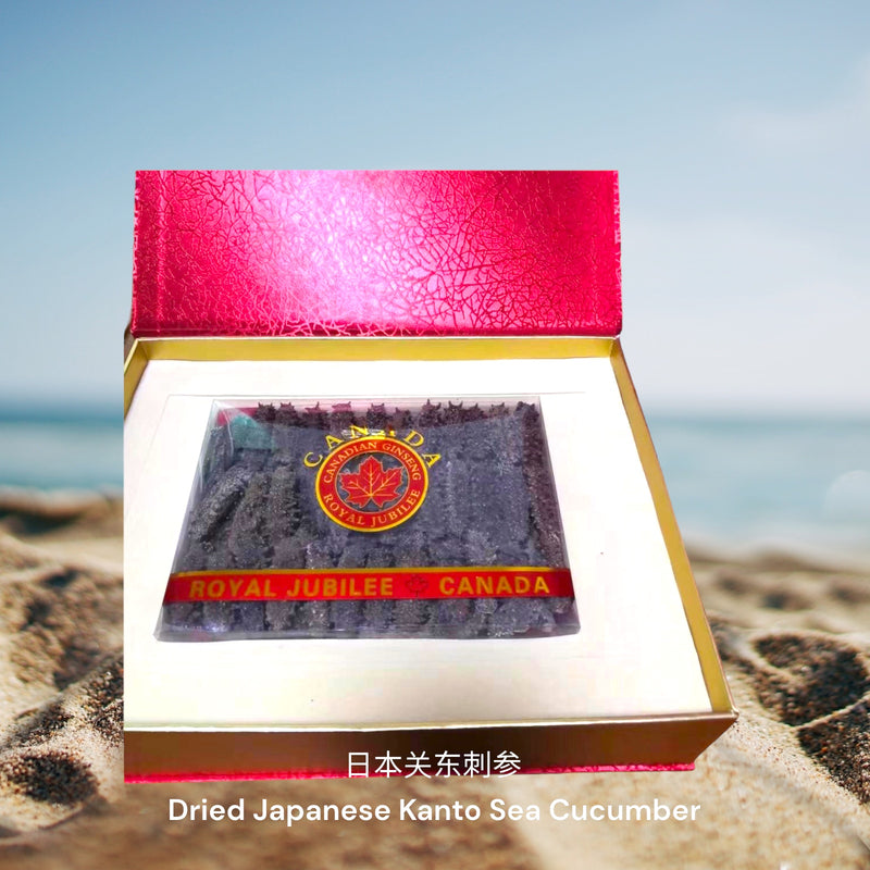 日本关东刺参 / Dried Japanese Kanto Sea Cucumber