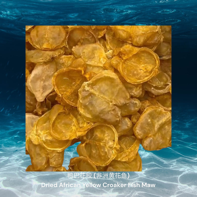 鸭巴花胶 (非洲黄花鱼)/ Dried African Yellow Croaker Fish Maw