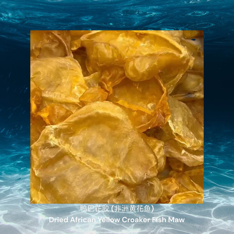 鸭巴花胶 (非洲黄花鱼)/ Dried African Yellow Croaker Fish Maw